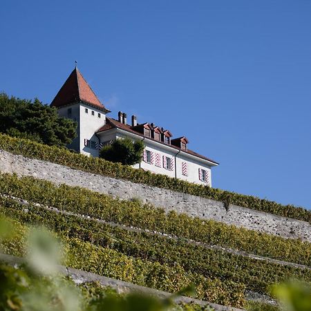 Domaine Du Burignon Hotel Saint-Saphorin Екстериор снимка