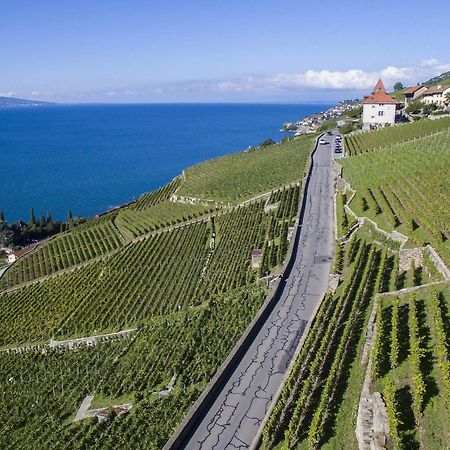 Domaine Du Burignon Hotel Saint-Saphorin Екстериор снимка