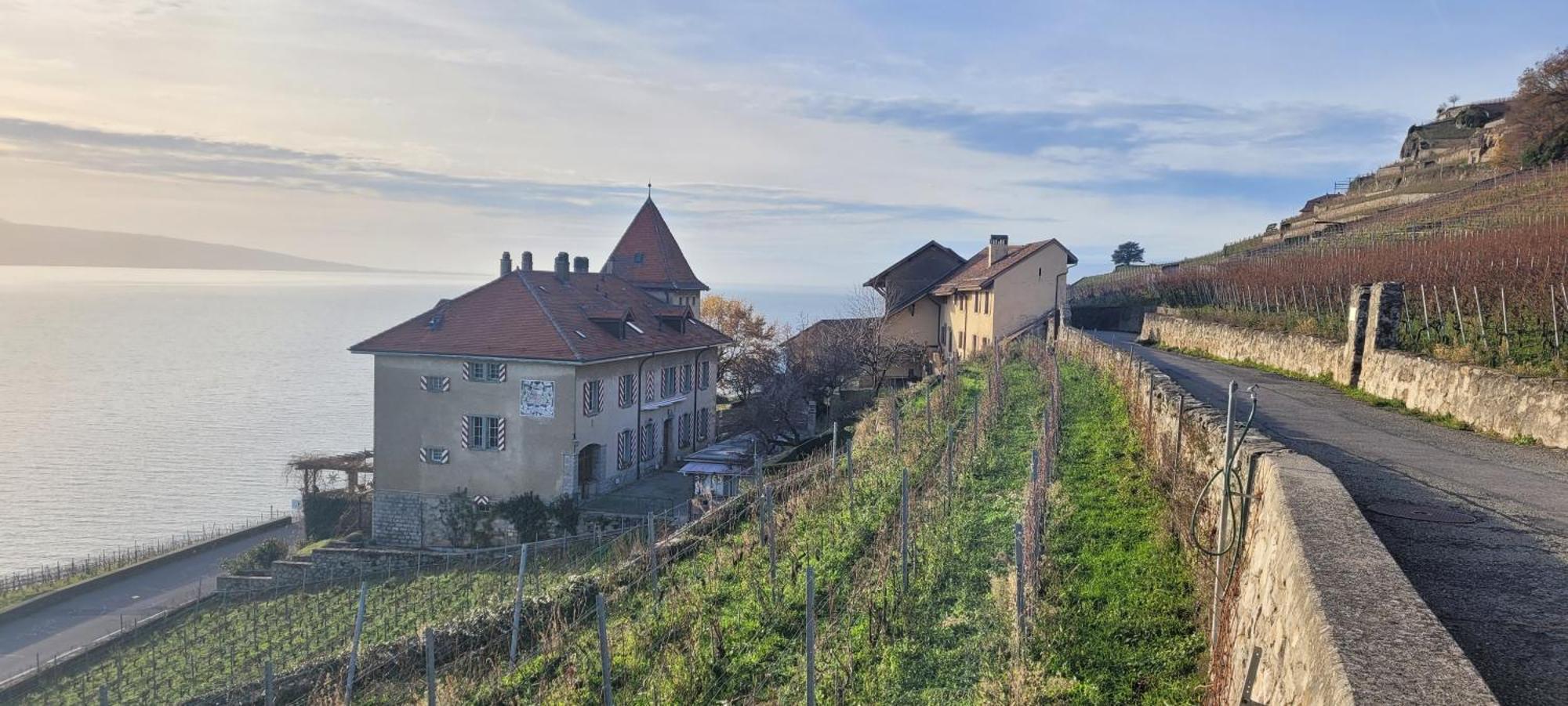 Domaine Du Burignon Hotel Saint-Saphorin Екстериор снимка
