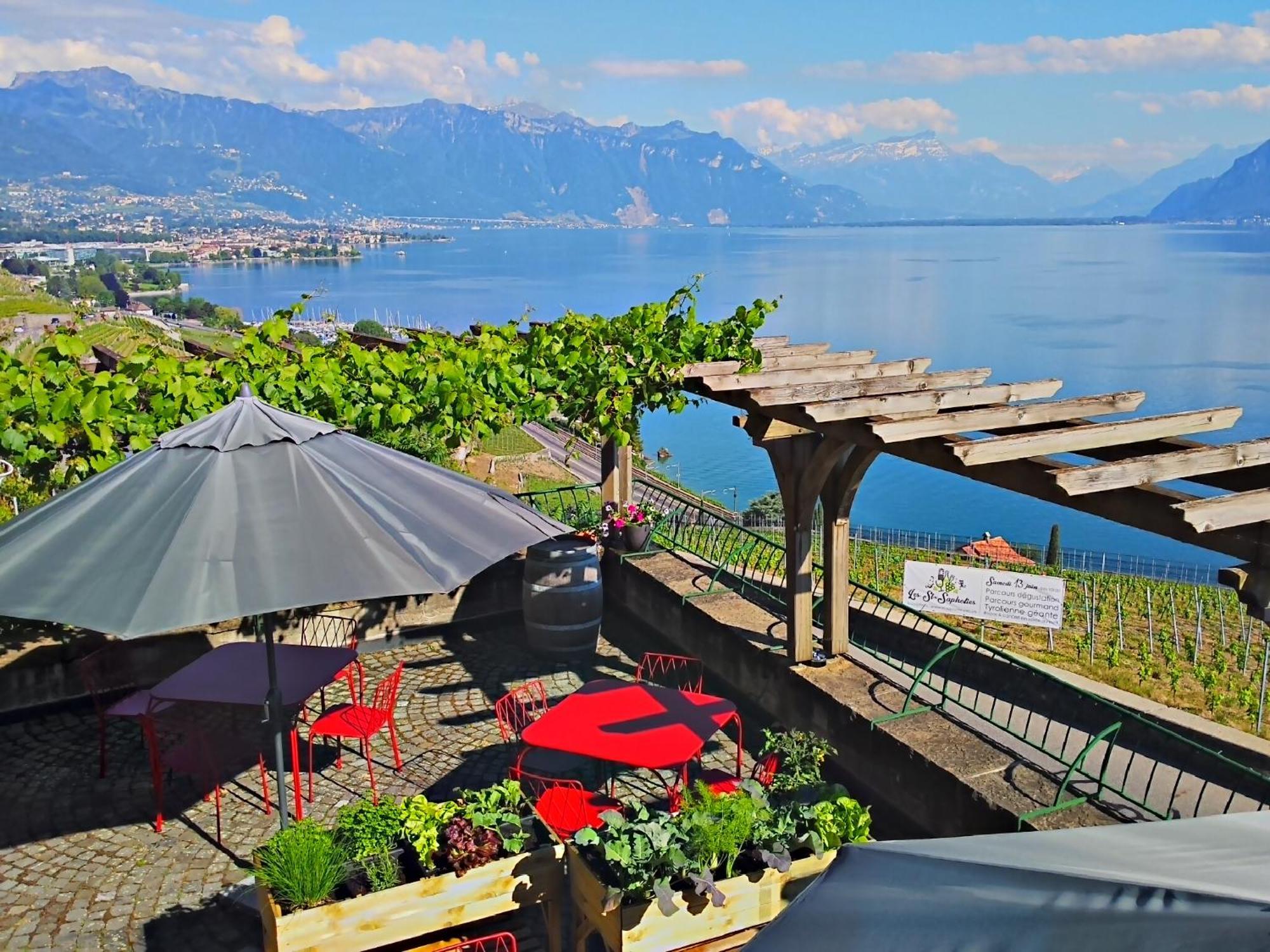 Domaine Du Burignon Hotel Saint-Saphorin Екстериор снимка