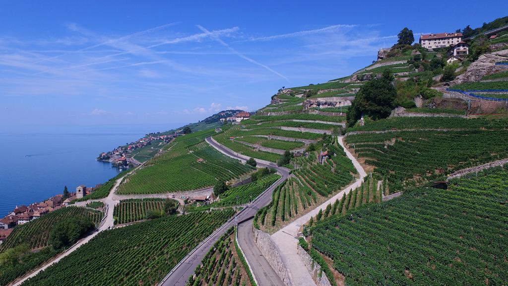 Domaine Du Burignon Hotel Saint-Saphorin Екстериор снимка