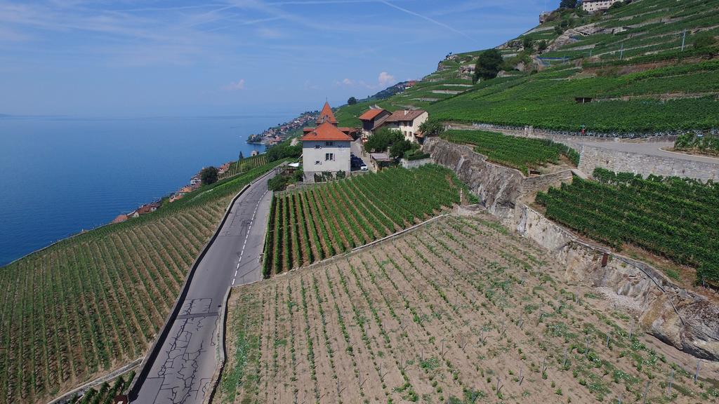 Domaine Du Burignon Hotel Saint-Saphorin Екстериор снимка
