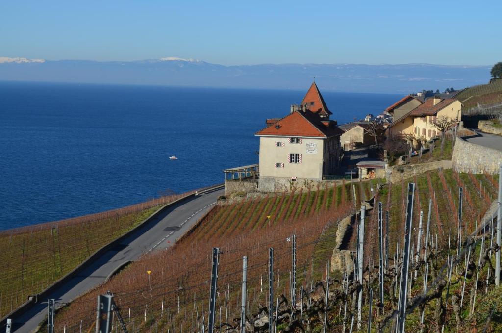 Domaine Du Burignon Hotel Saint-Saphorin Екстериор снимка