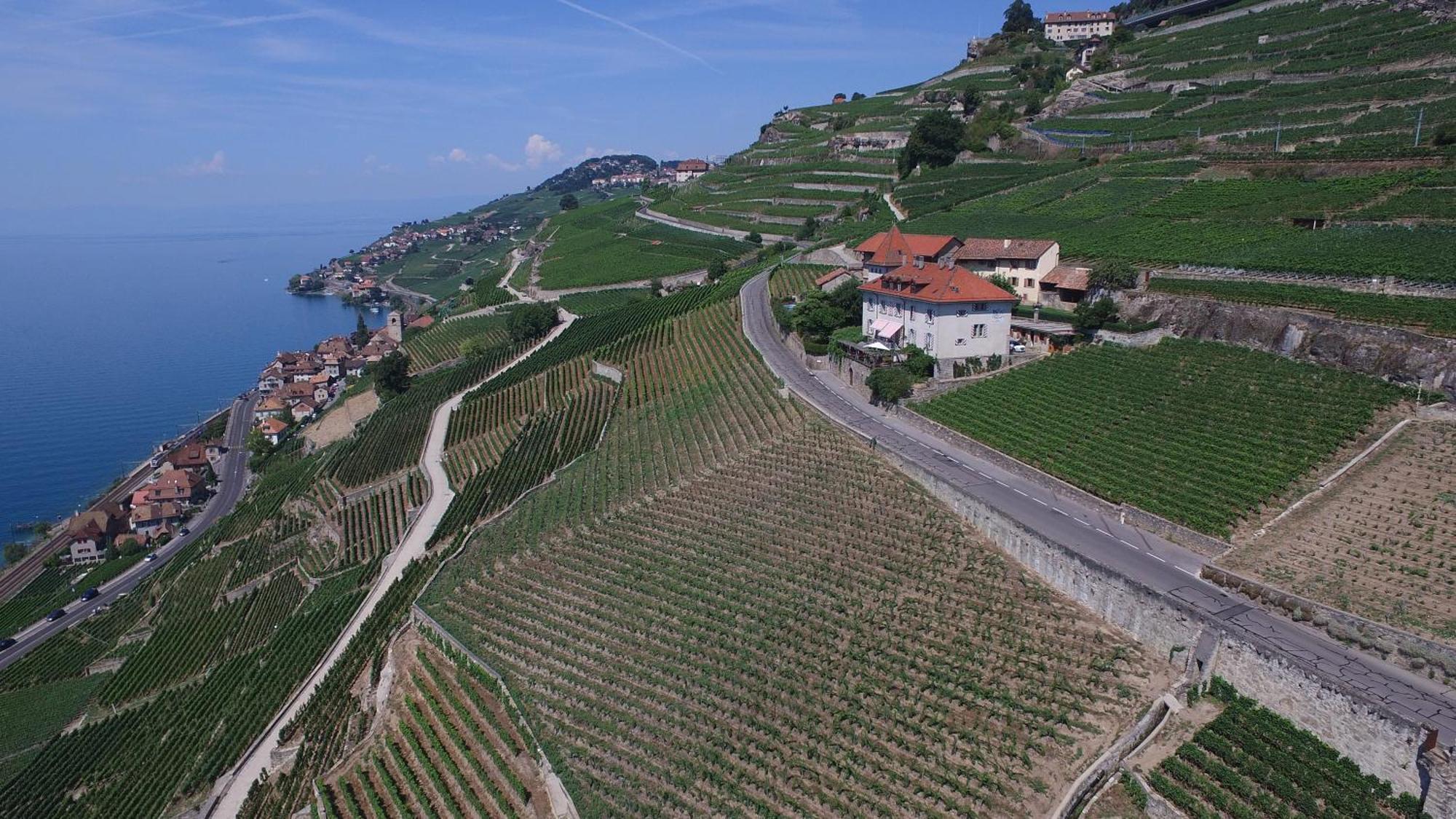 Domaine Du Burignon Hotel Saint-Saphorin Екстериор снимка