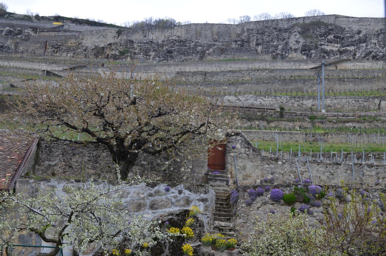 Domaine Du Burignon Hotel Saint-Saphorin Стая снимка
